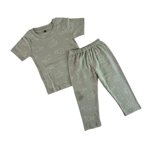 Sage Baby Whale Co-ord Pants Set